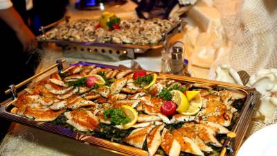  Dalmacija i Vir u Banjaluci  