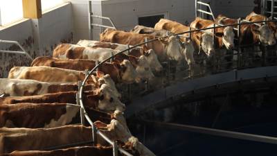  Šamac: Od stajskog đubriva proizvode.... 