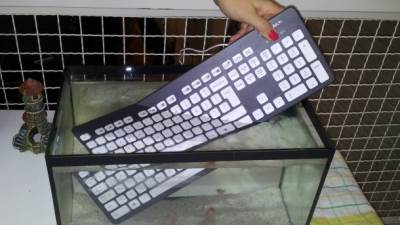  Kako najbrže i najlakše očistiti tastaturu kompa 