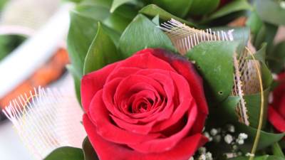  Poklon za učiteljice 