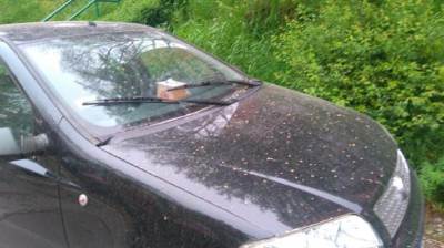  Pustinjski pesak prekrio Beograd 