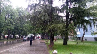  Snijeg kome se niko nije obradovao 