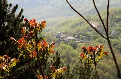  Znate li šta je čarobni turistički prsten? 