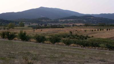  Preporuka poljoprivrednicima: Stižu niske temperature, zaštitite voće 