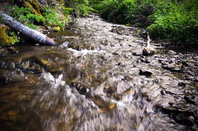  Zagađeno izvorište rijeke Bosne, ali se voda može koristiti u domaćinstvima 