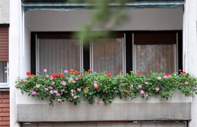  Deluje šašavo, ali...  