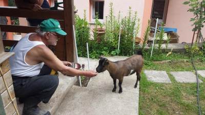 Hamid Katana i njegovo carstvo životinja  (FOTO) 