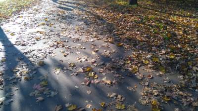  Vremenska prognoza i stanje na putevima u BiH 