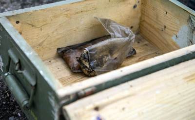  Kraljevo: Uhapšen sa 40 kilograma eksploziva 