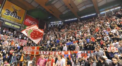  Delije pevale uprkos porazu 