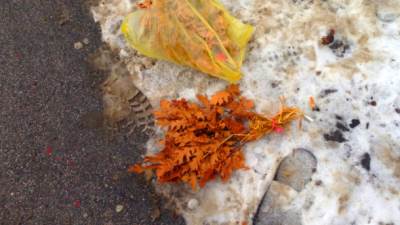  Srbi vernici, zašto OVO radite? (FOTO) 