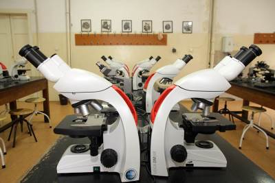  Srpkinja napravila srce od matičnih ćelija 