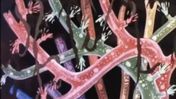  Bez ovog crtaća nema proleća! (FOTO, VIDEO) 