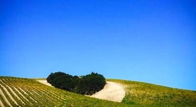  Evo kako da znaš ko je u tebe zaljubljen 