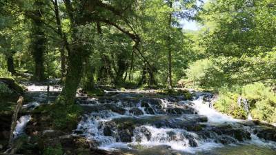  Mondo, Šipovo: NEMA DALJE! 