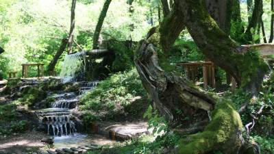  U Šipovu "cvjeta" seoski turizam 