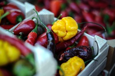  Prevoznici iz RS stopirali izvoz u Hrvatsku 