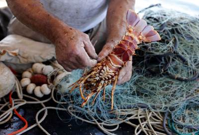  MONDO u lovu na jastoge (FOTO) 