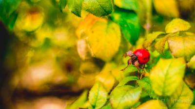  prognoza vremena za danas 4. novembar 2017 