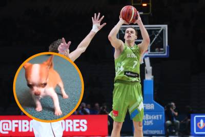  Zašto se čivava Klemena Prepeliča zove LJULJ? 