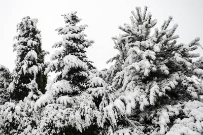  Na put preko Manjače nemojte ako ne morate 