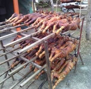  Tucindan: Zašto "treba tući veselicu", a ne djecu 