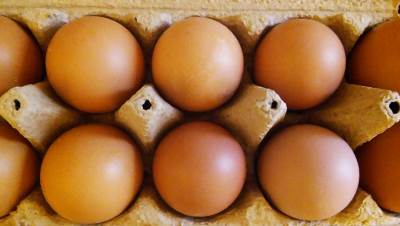  Odobren izvoz jaja iz BiH u Evropsku uniju 