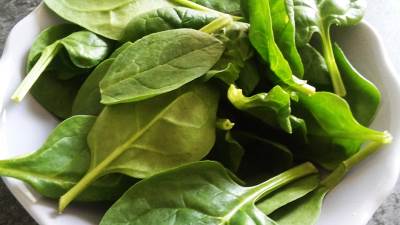  Najbolji biljni izvori kalcijuma 