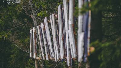  Večeras počinje Zelenkovac Jazz fest! 