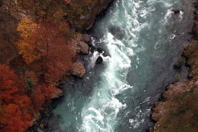  Plav: Pronađeno telo bebe bačene u reku 