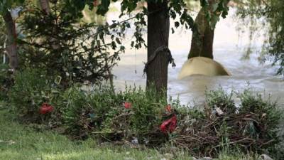  Bujice "minirale" rijeke, kupanje rizično 