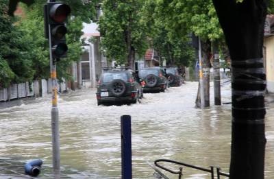  Obrenovac: Voda se povlači, sad napadaju zmije! 