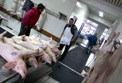  Mesari: Pomozite, vegeterijanci nas terorišu 