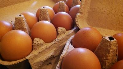  Proizvođači u BiH najavili poskupljenje jaja 