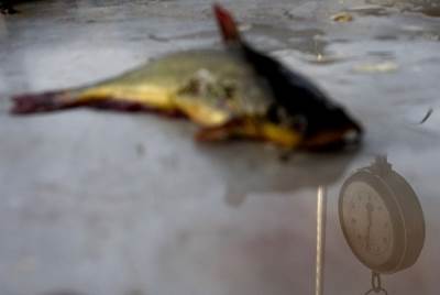  Ribe plivaju po bolnici posle kiše (VIDEO) 