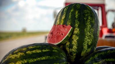  Niko to ne radi sa dinjama i lubenicama, a opasna je greška: Nutricionista upozorava – izazivate ozbiljne infekcije 