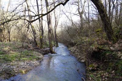  U šumi kod Ogulina pronađena dva mrtva migranta 