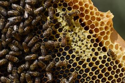  Poznati "kućni lekovi" koji u stvari ne rade 