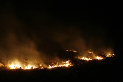  Aktivno 14 požara u Hercegovini 