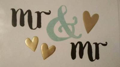  Gej parovi u Crnoj Gori neće moći da usvajaju decu 