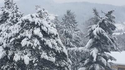  Na prevoju Morine privremeno obustavljen saobraćaj 