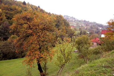  Kurije de Balkan:Smrt koja proganja srpsko selo Ribnicu 