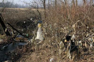  SVAKA ČAST: Pogledajte kakav "sport" imaju Šveđani 