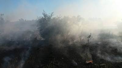  Vatra divlja kod Šibenika, vetar rasplamsava požar 