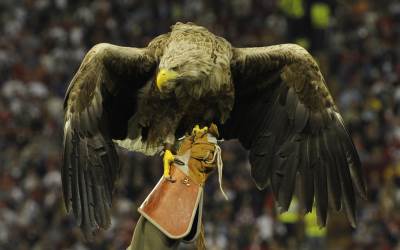  Orlovi krstaši u Srbiji 