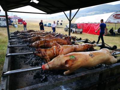 Kočićev zbor: Piton i "kontrolisana jagnjetina" 