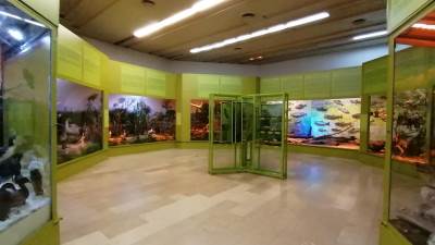  Muzej RS- prirodnjački odsjek 