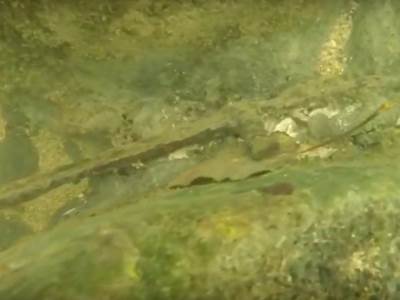  Pogledajte kako izgleda banjalučki mač u kamenu (VIDEO) 