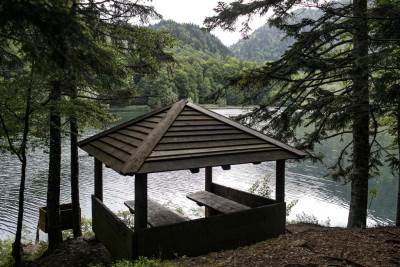  Biogradsko jezero Crna Gora 