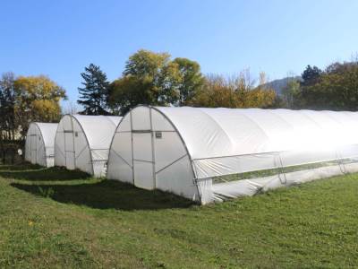  Sjemenski materijal Banjaluka podjela 